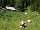 Bad Kleinkirchheim - Rossalmhütte